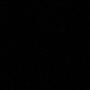 Meet your Posher, Lilly